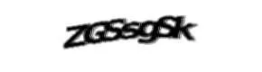 Security check image, please type the characters shown